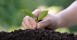 Origins悦木之源旅游零售“绿动地球”宣传图