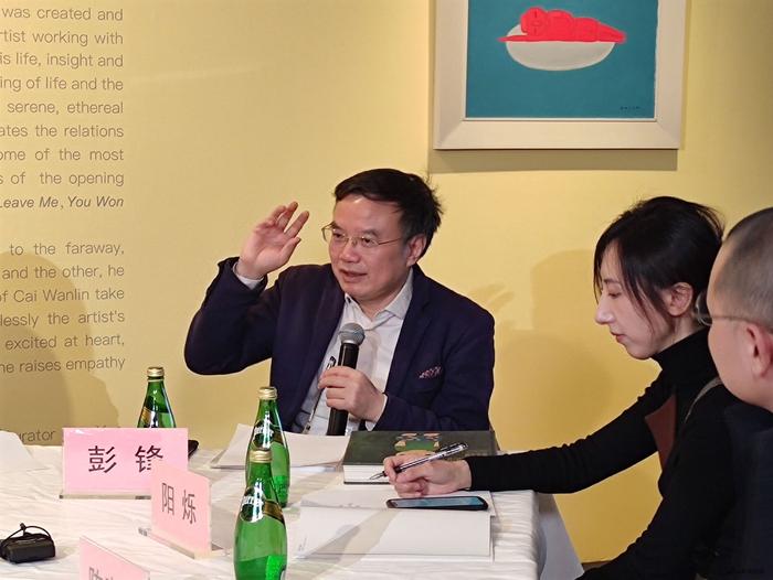 北京大学艺术学院院长、教授,著名策展人彭锋