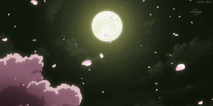 周末bang 好展好店好餐厅小假期国内花式玩转中秋 手机新浪网