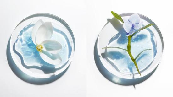 ▲Zeta Fraction™技术活萃整株莲花