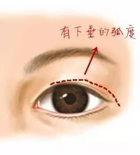 下垂眼示意