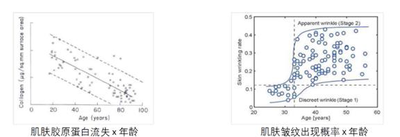 图2 胶原蛋白的流失与肌肤皱纹的出现