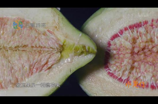 爱玉子