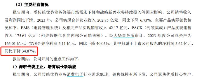 来源:德赛电池年报摘要截图