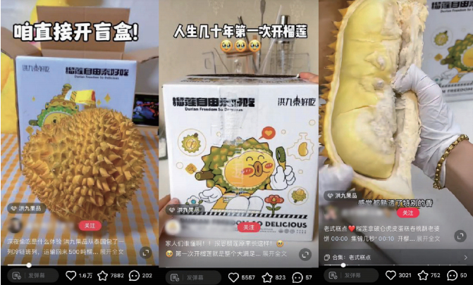 （来源：公司半年报）