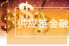 王浩：发挥供应链金融稳链、保链、强链三大作用 畅通经济大循环