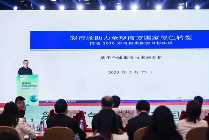 “一带一路”绿色发展国际联盟首席发展总监张建宇