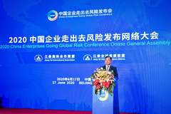 2020中国企业走出去风险发布网络大会成功在京举行