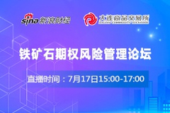 铁矿石期权风险管理论坛