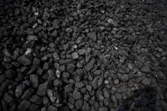 动力煤期权将于6月30日挂牌交易