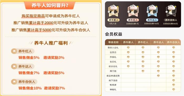 认养一头牛被质疑传销  6成牧场和超40%奶牛是借来的