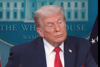 视频|特朗普：不去G7峰会，因为马克龙干不长了