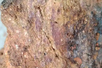 我国发现世界第二大轻稀土矿！