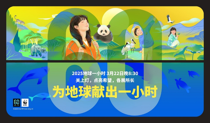 插画家李旻绘制