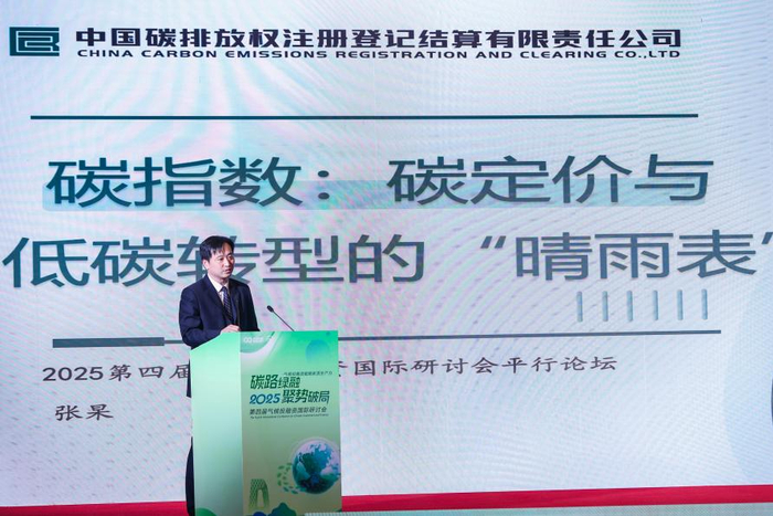 碳排放权登记结算（武汉）有限责任公司执行总经理张杲