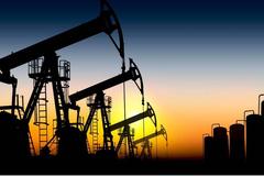 美国政府投放创纪录的战略石油储备并敦促IEA一起行动