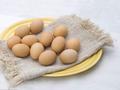 大商所调整鸡蛋期货车板交割新鲜度指标检验相关规则