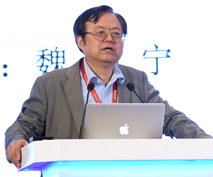 国务院发展研究中心宏观经济研究部部长 魏加宁