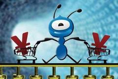 任泽平：解码蚂蚁——如何成为全球最大独角兽