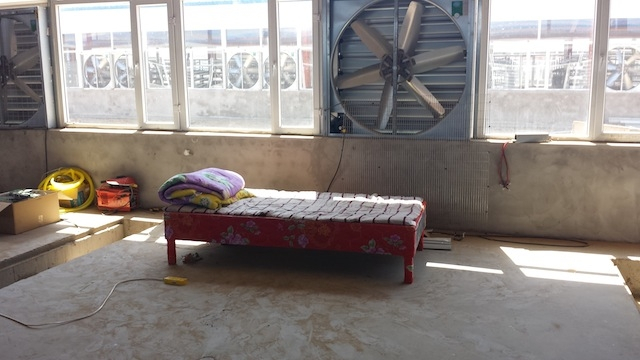 探访最大比特币矿厂:鄂尔多斯会再度冷寂吗?