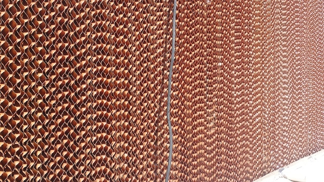 探访最大比特币矿厂:鄂尔多斯会再度冷寂吗?