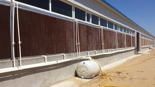 探访最大比特币矿厂:鄂尔多斯会再度冷寂吗?