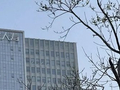 利安人寿“再造”梦碎，新班子承压前行