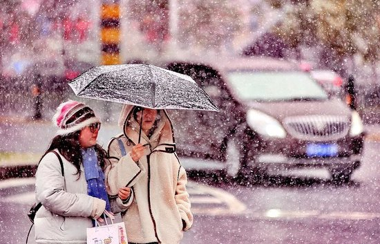 10月19日，黑龙江哈尔滨下起大雪，纷纷扬扬的雪花从空中飘落。