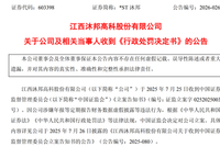 造假被罚，退市风险仍存，603398为何逆势涨停？