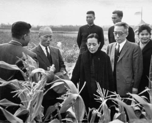 三十年前台湾股疯:一场东亚模式的宿命_手机新浪网