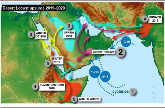 资料来源：FAO，中金公司研究部