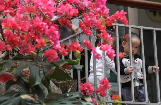 一岁半的张赛和奶奶在广场上玩。老家湖北，来深圳十年，父亲做生意，在渔民村买了房。新京报记者 浦峰 摄