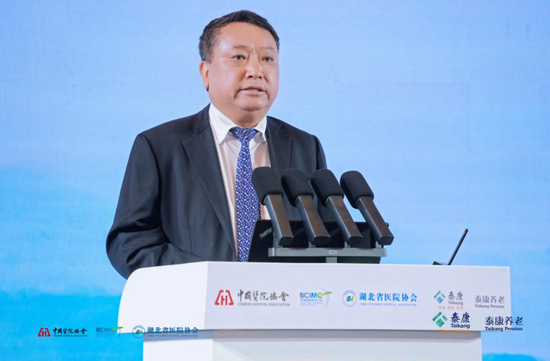 湖北省医院协会会长刘继红主持研讨会致辞环节