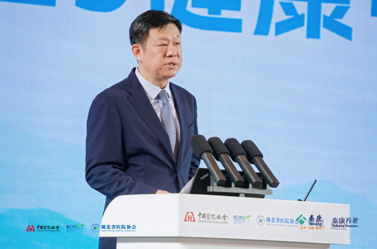 武汉市人民政府党组成员、副市长李湛致辞