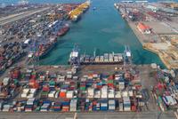 快讯：港口航运板块异动拉升 厦门港务直线拉升涨停