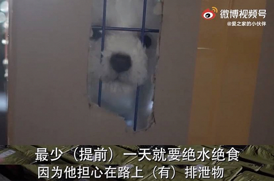 微博视频截图；制图 / 开菠萝财经