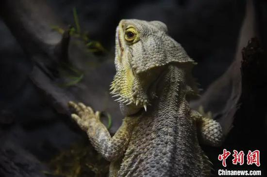  资料图。李木生&nbsp;摄