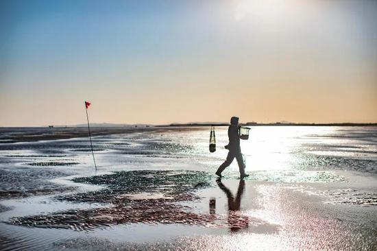 东北兴城的淘宝直播赶海人高源，结束一天工作后离开滩涂。