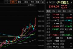 潜在十倍牛股集结地？老龄化程度进一步加深、养老概念掀涨停潮