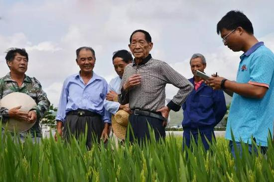 ►2015年，袁隆平在海南三亚试验基地