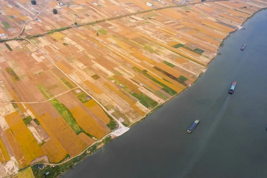 　△淮河两岸，平畴万顷