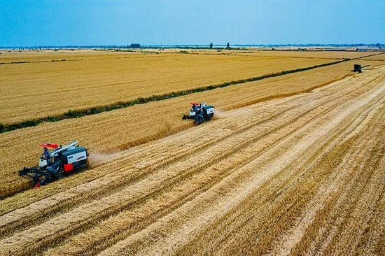 △阜阳，小麦机收