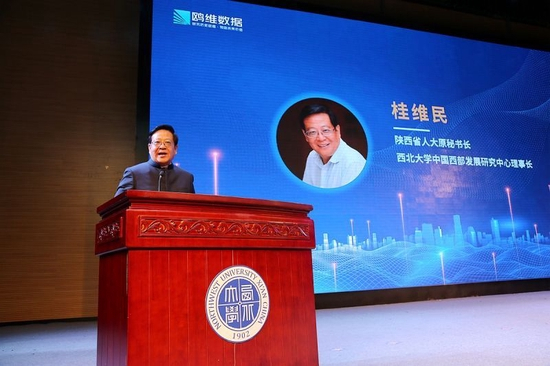 西北大学中国西部发展研究中心理事长桂维民致辞