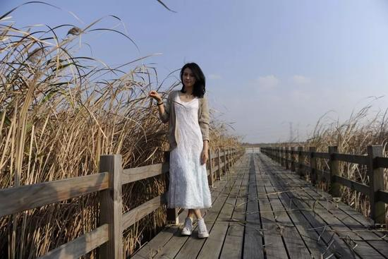 ▲《搜索》| 杭州湾的风景真是好