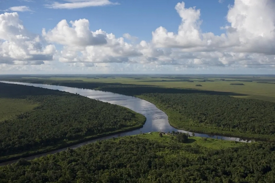 ©&nbsp;Haroldo Palo Jr．