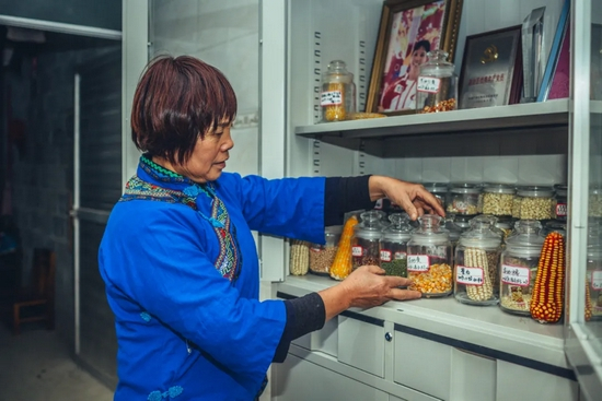  ▲广西马山上古拉屯妇女带头人陆荣艳检查社区种子库。图片来源：王文燕 / 农民种子网络