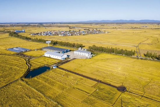 2020年10月12日，黑龙江哈尔滨五常市，航拍农民收割稻田。