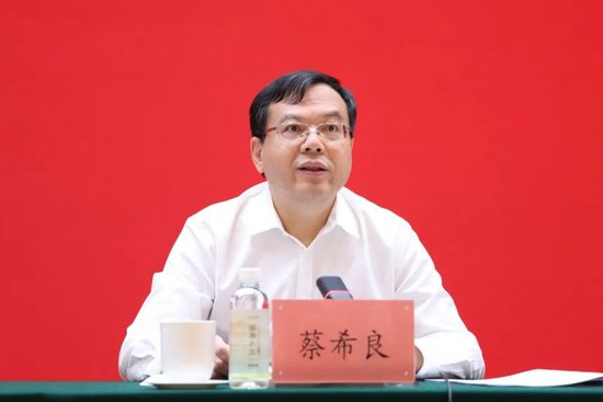 集团党委书记、董事长 蔡希良讲话