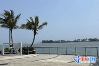 海南官宣！明明是进一步扩大开放，为何叫“封关”？