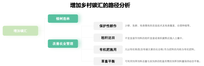 图2 增加乡村碳汇的路径分析